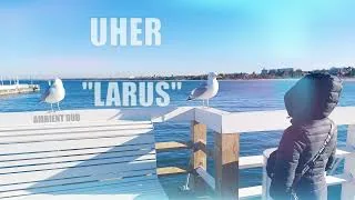 Kadr z teledysku: Larus