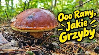 Kadr z teledysku: Ależ To Było Grzybobranie. Grzyby Wszędzie Wokół🍄‍🟫🍄‍🟫